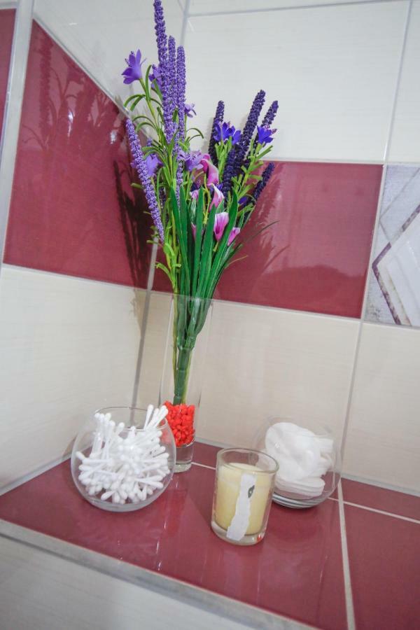 בראשוב Korona Studio מראה חיצוני תמונה