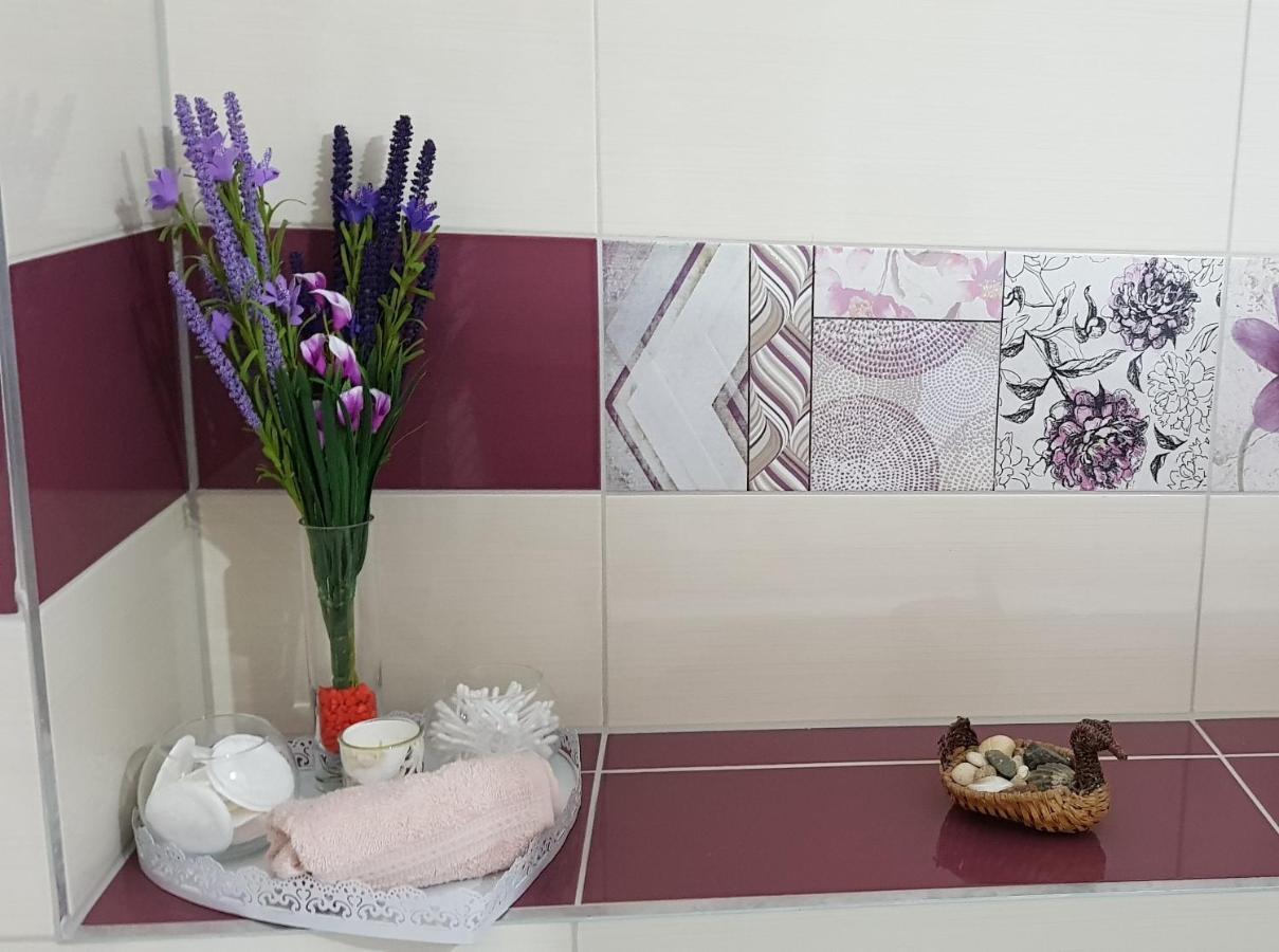 בראשוב Korona Studio מראה חיצוני תמונה